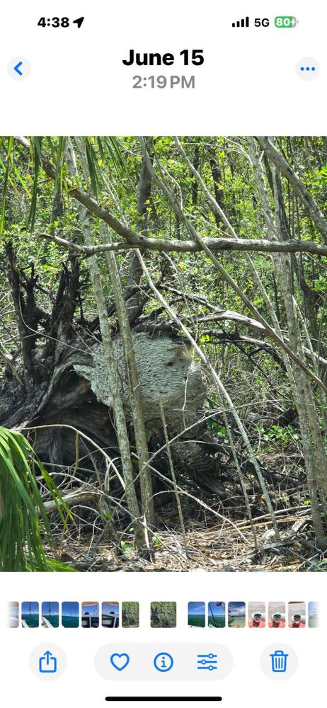 All Photos for McLeran in Naples, FL