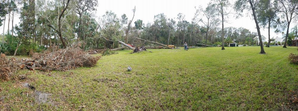 Tree Removal for Spruce Creek Tree Service in Port Orange, FL