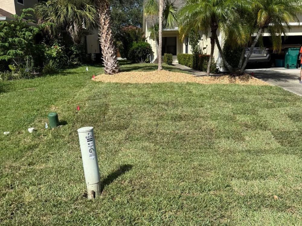 All Photos for Florida Pro Turf in Rockledge, FL