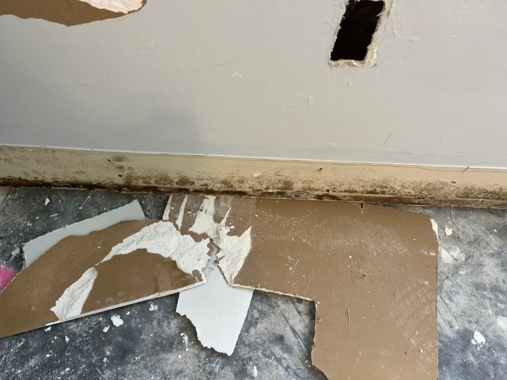 Mold Remediation for N&D Restoration Services When Disaster Attacks, We Come In in Cape Coral,  FL