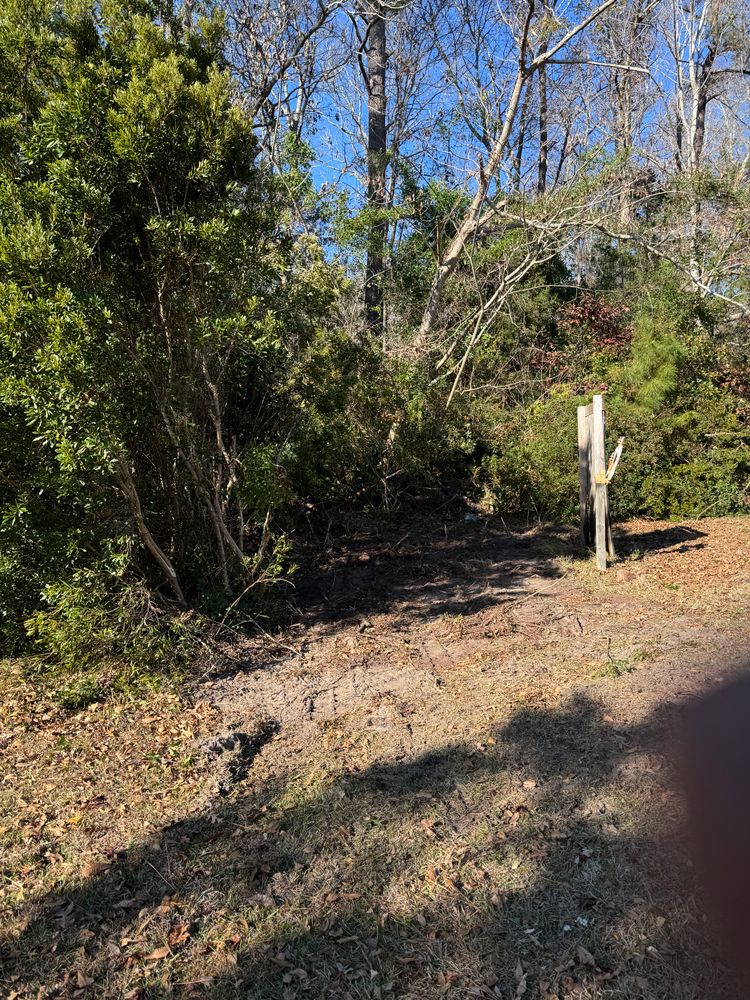 Brush Cutting for A&A Property Maintenance in Jacksonville, NC