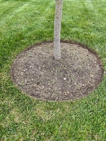 All Photos for Robbie's Lawn Care, LLC in Middletown, OH