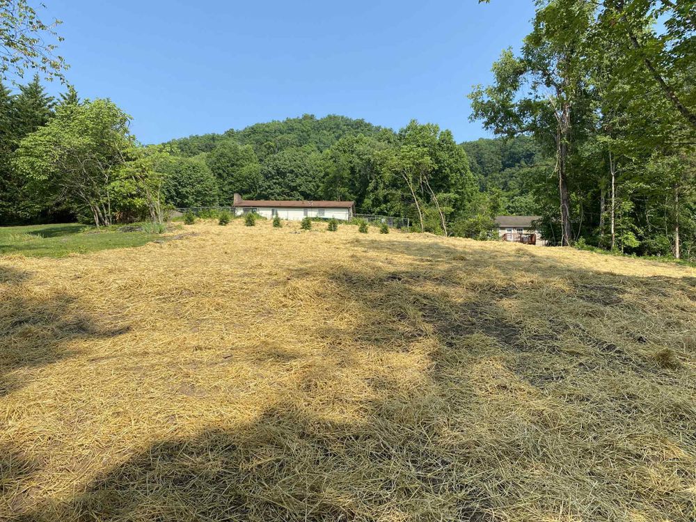 Transform your outdoor space with our professional seeding service, providing lush, healthy grass growth post-excavation. We ensure personalized care to enhance curb appeal and increase the value of your property. for Genesis Landworks in Bluff City, TN