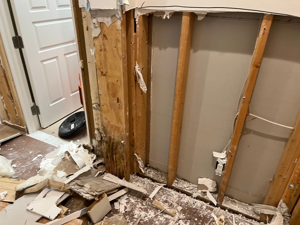 Mold Remediation for N&D Restoration Services When Disaster Attacks, We Come In in Cape Coral,  FL