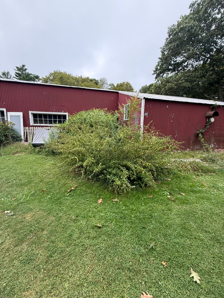 All Photos for Lucas Property Maintenance LLC in New Bedford, MA