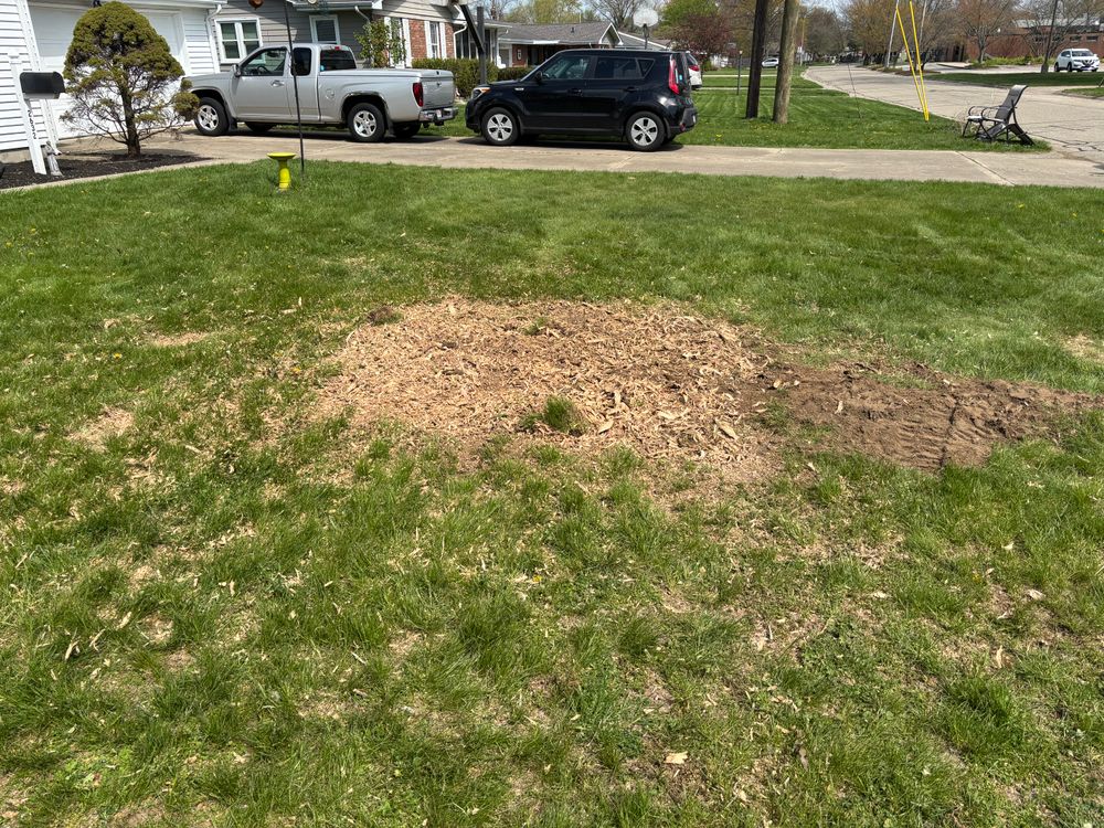 All Photos for Conrad's Stump Removal in Columbus, IN
