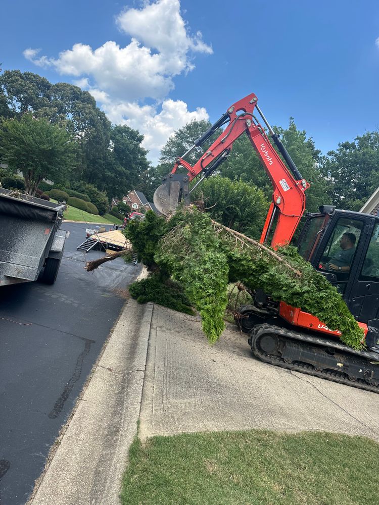 Tree Removal for Rescue Grading & Landscaping in Marietta, SC