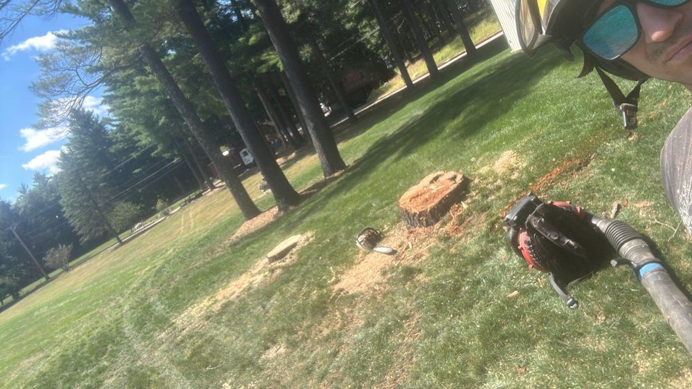 All Photos for Dwights Tree Service LLC in Middleborough, MA
