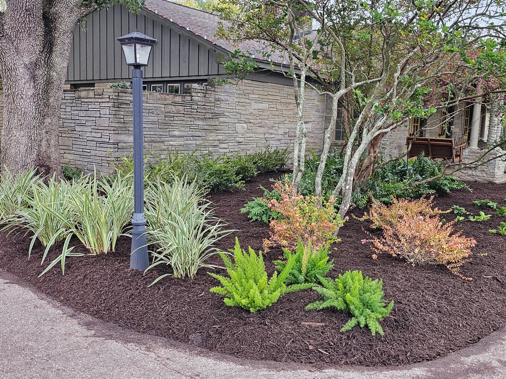 Landscaping for Bruno's Professional Lawn's & Landscape in Beaumont, TX