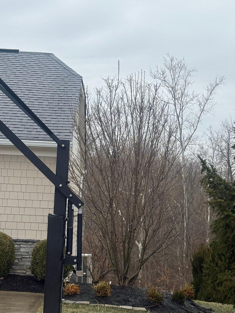 All Photos for Dig-It Tree Company in Mason, OH