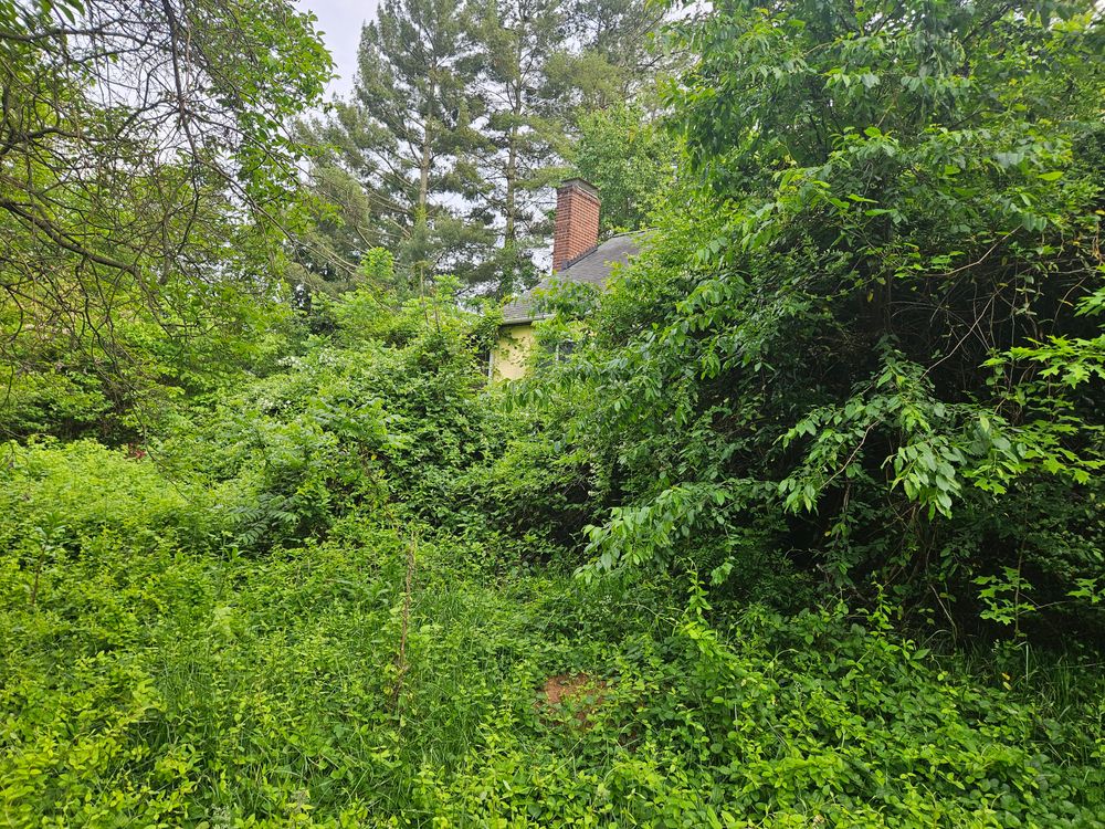 All Photos for Browns Grounds in Culpeper, VA