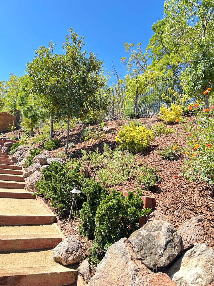 All Photos for LEBEC, Inc in Brentwood, CA