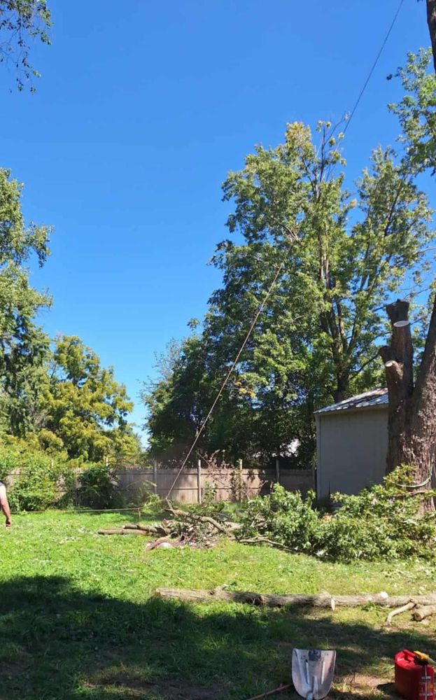 All Photos for Highborn Tree Service in Wheatfield, IN