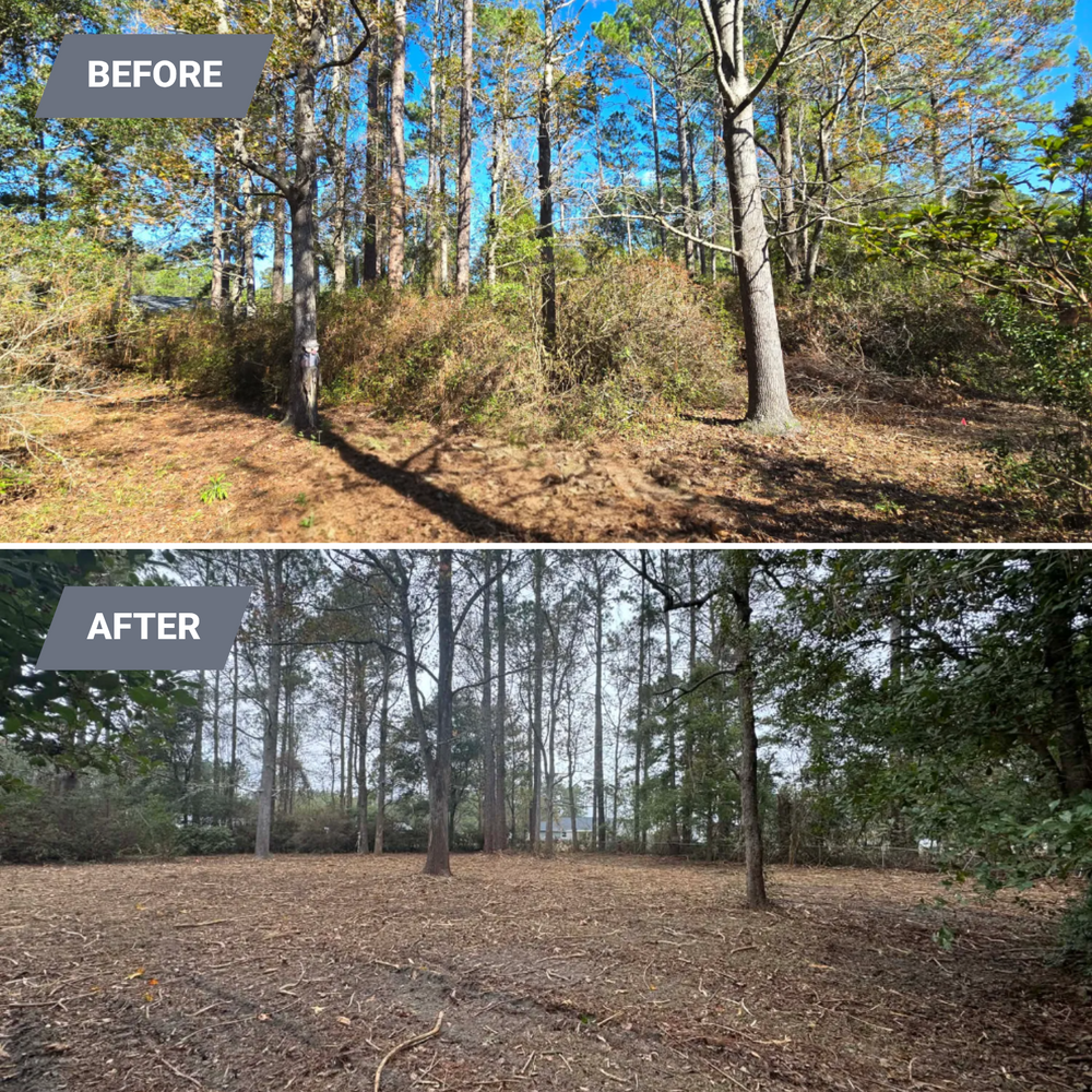 All Photos for Giles Land Management, LLC in Hahira, GA