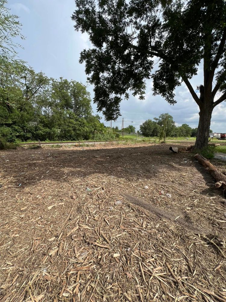 Tree Removal for Thompson Forestry Mulching & Stump Grinding in Douglas, GA