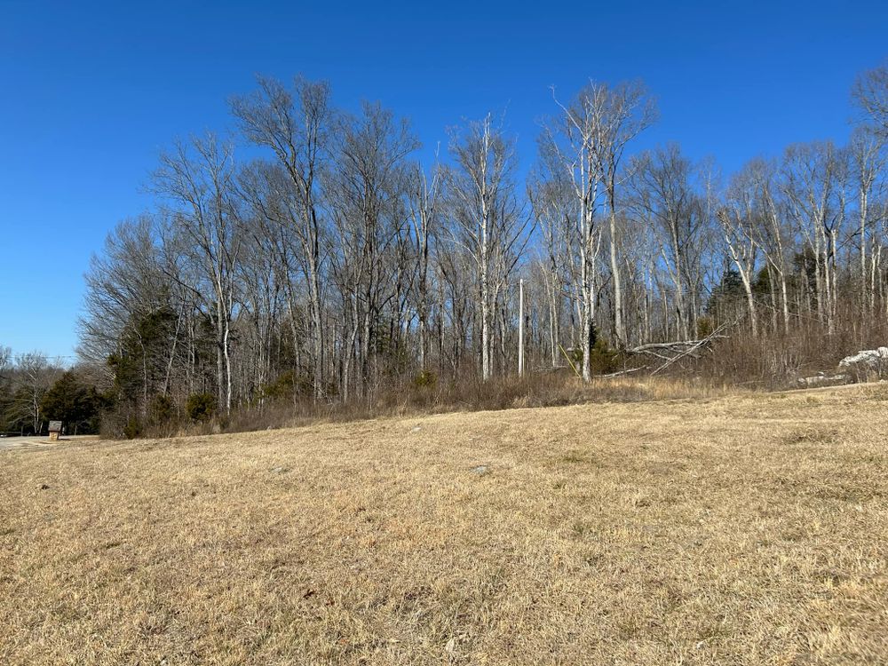 All Photos for Z's Land Management & Forestry Mulching in Smithville, TN