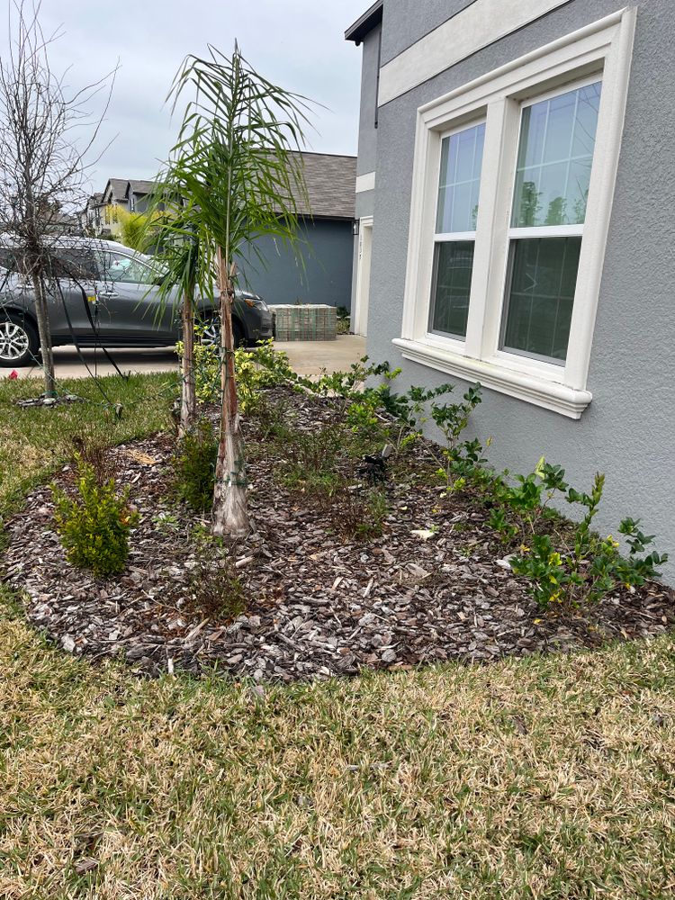 Our creative touch turns outdoor spaces into works of art, with rock and mulch installations, meticulous plant cleanups, and innovative landscape designs. for New Era Lawn Care & Landscaping in Lakeland,  FL