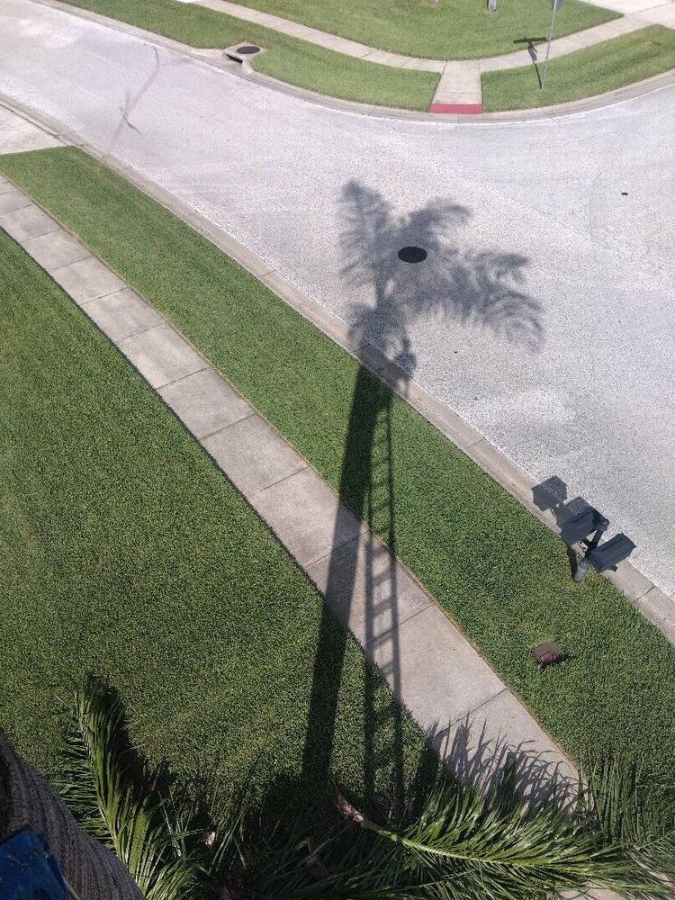 All Photos for Bills Tree Service in Valrico, FL