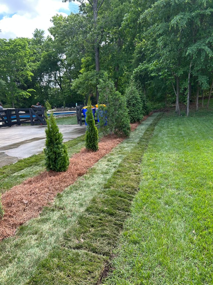 All Photos for Optimum Tree Service And Landscaping in Bowling Green, KY