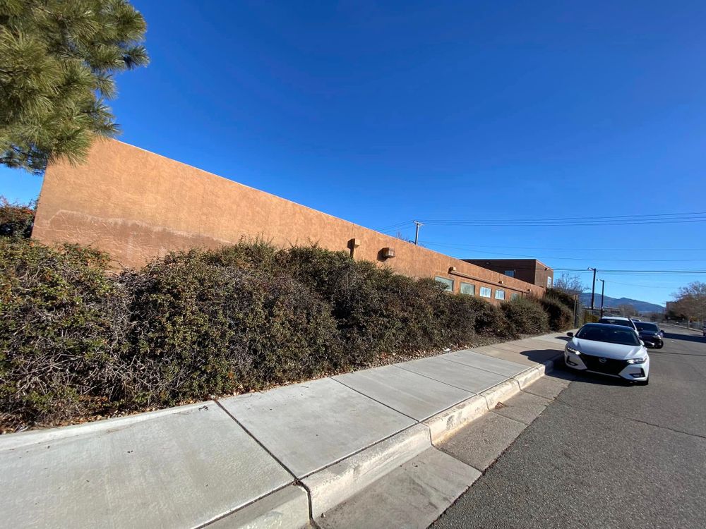 All Photos for Tree Service Miracles in Albuquerque, NM