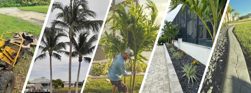 All Photos for Advanced Landscaping Solutions LLC in Fort Myers, FL