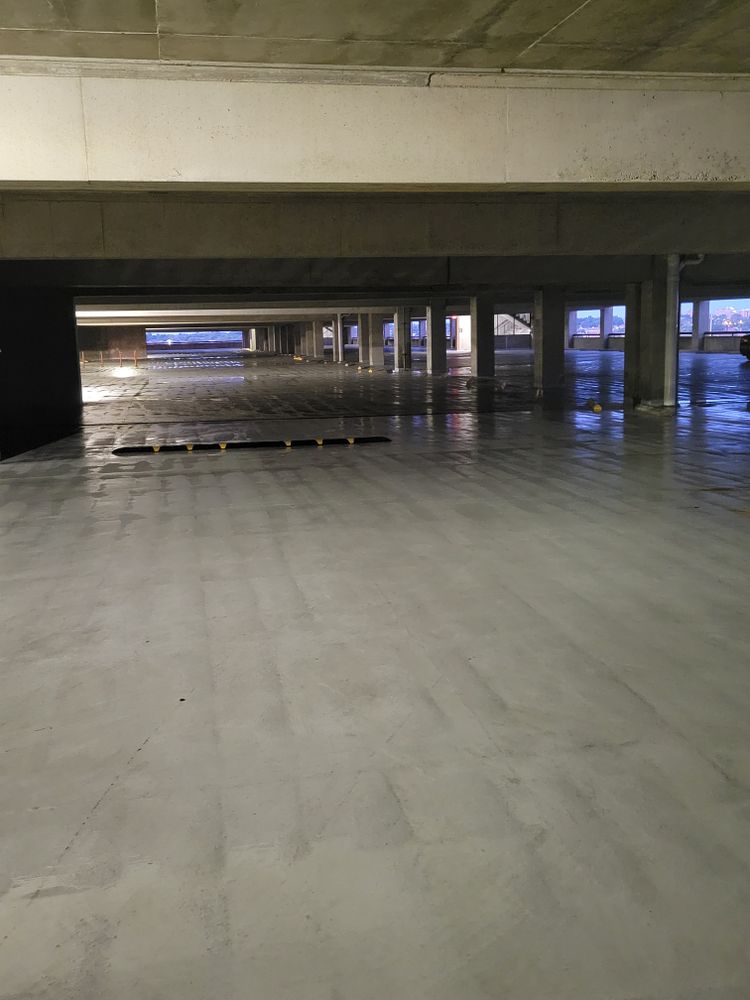 All Photos for Contemporary Landscape in St. Louis, MO