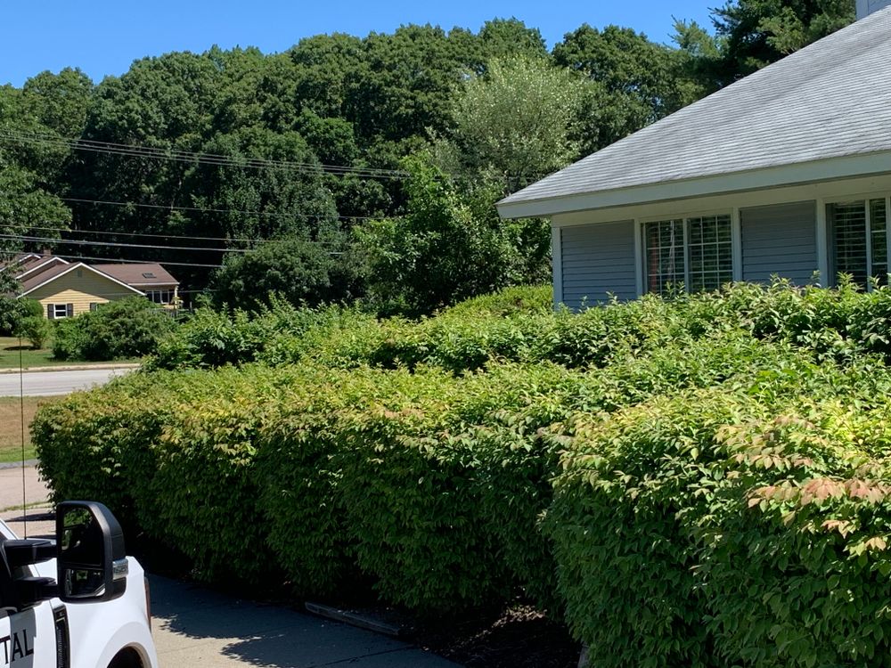 All Photos for Murray Mowing and More in Ashaway, RI