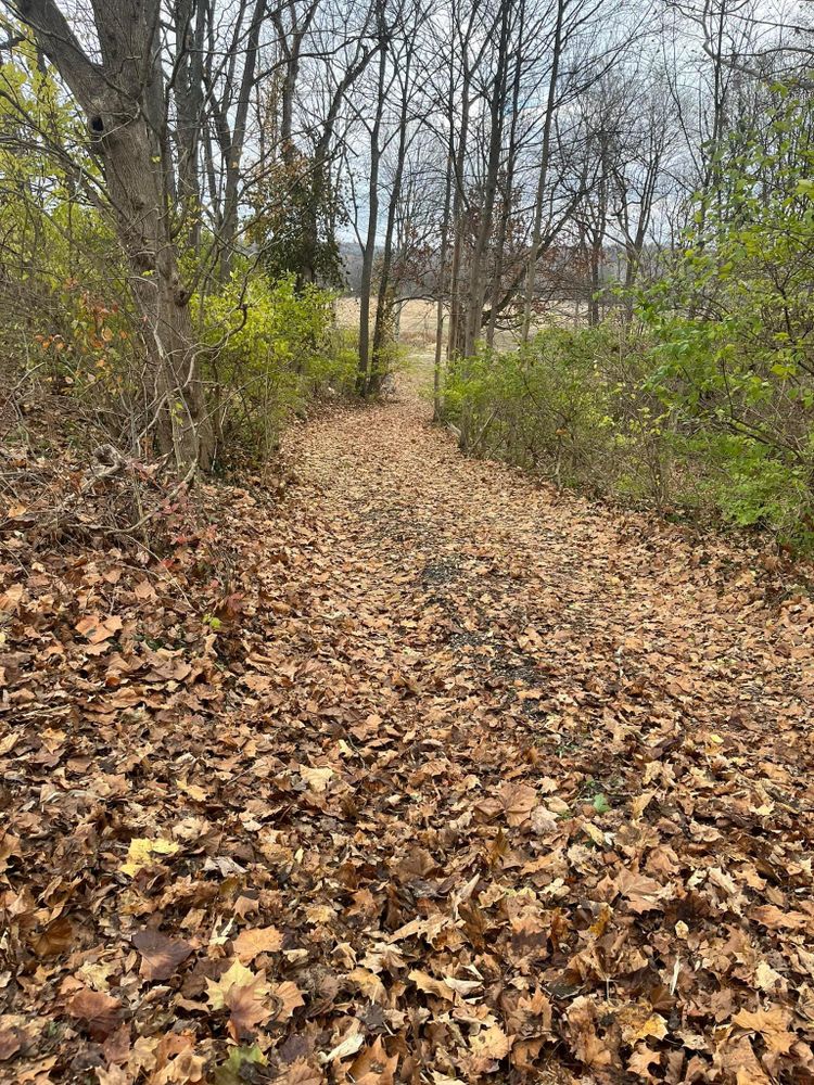 All Photos for Cincinnati’s Finest Landscape Services LLC in Cincinnati, OH