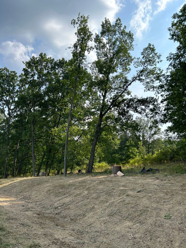 Tree Removal for JJ Tree Service in Gibsonia, PA