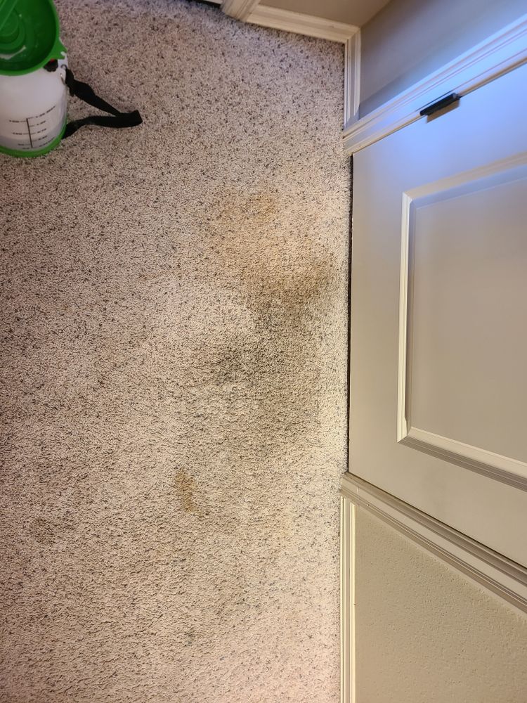 All Photos for Keystone Cleaning Services Inc. in Dewey, OK