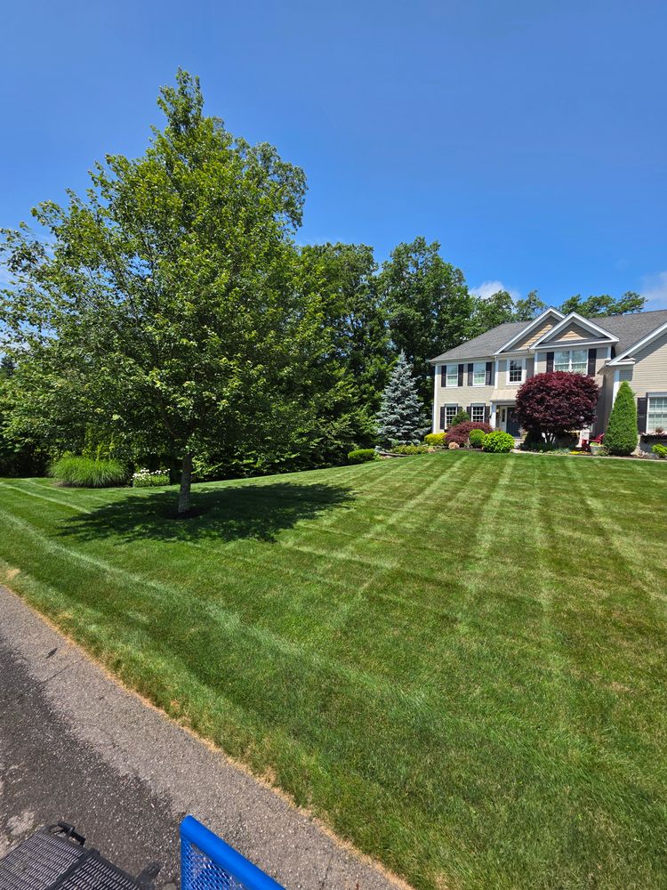 All Photos for Sweet Scapes in Ballston Spa, NY