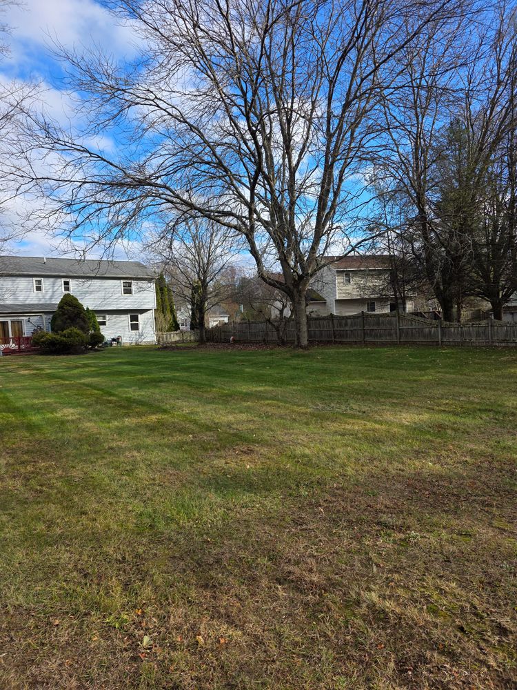 All Photos for Sweet Scapes in Ballston Spa, NY