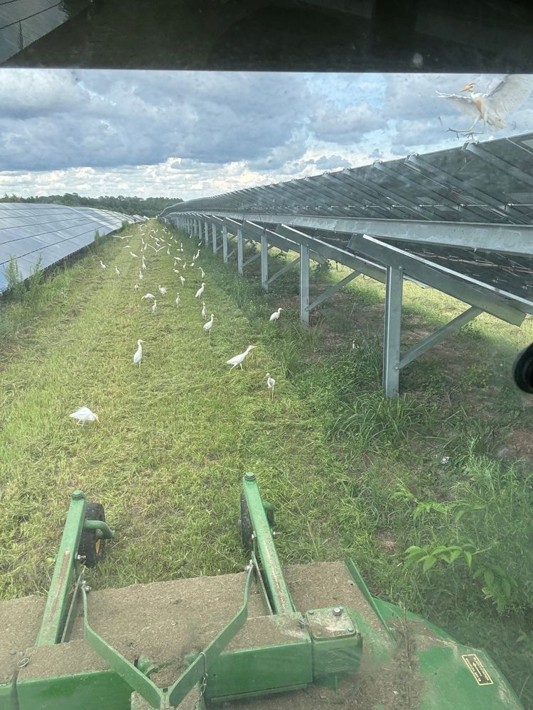 All Photos for Camalett Services in Perry, GA