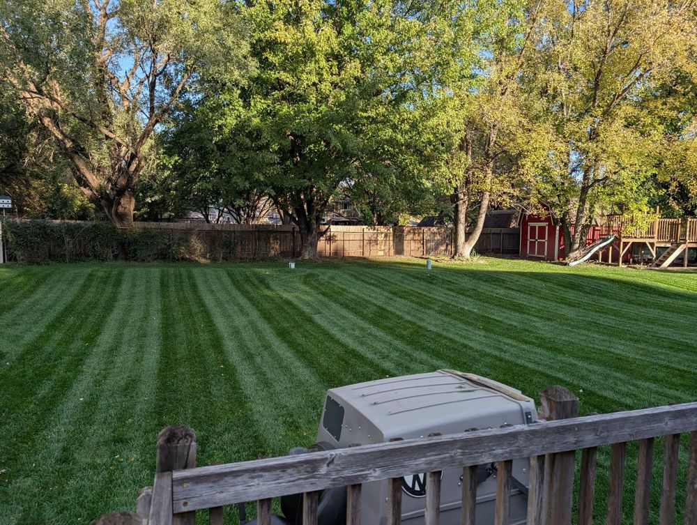 All Photos for Gavin's Lawn Maintenance in Derby, KS