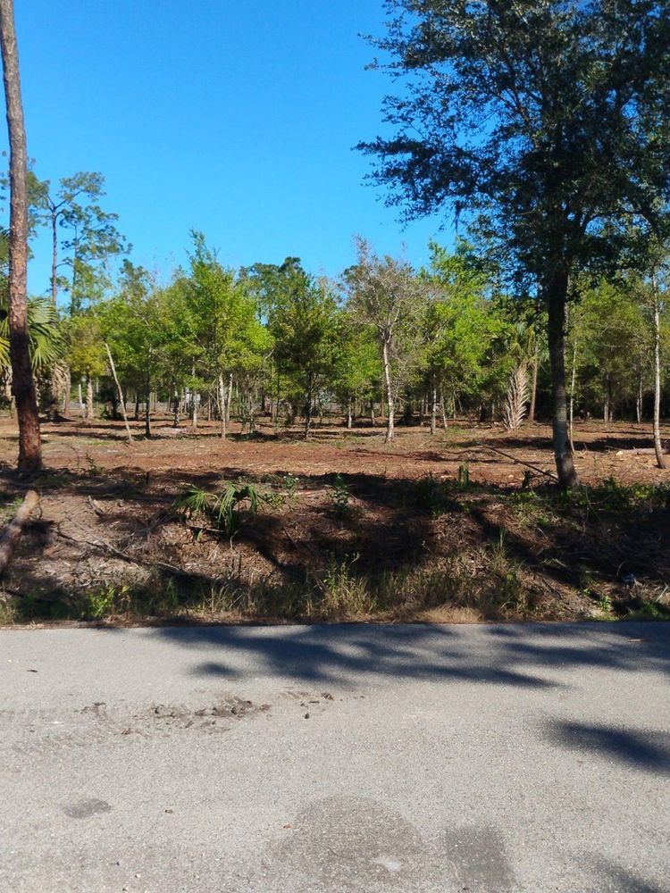 All Photos for McLeran in Naples, FL