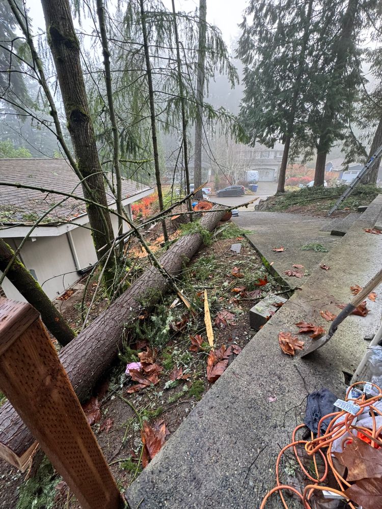 All Photos for Tony's Remodeling & Painting in Renton, WA