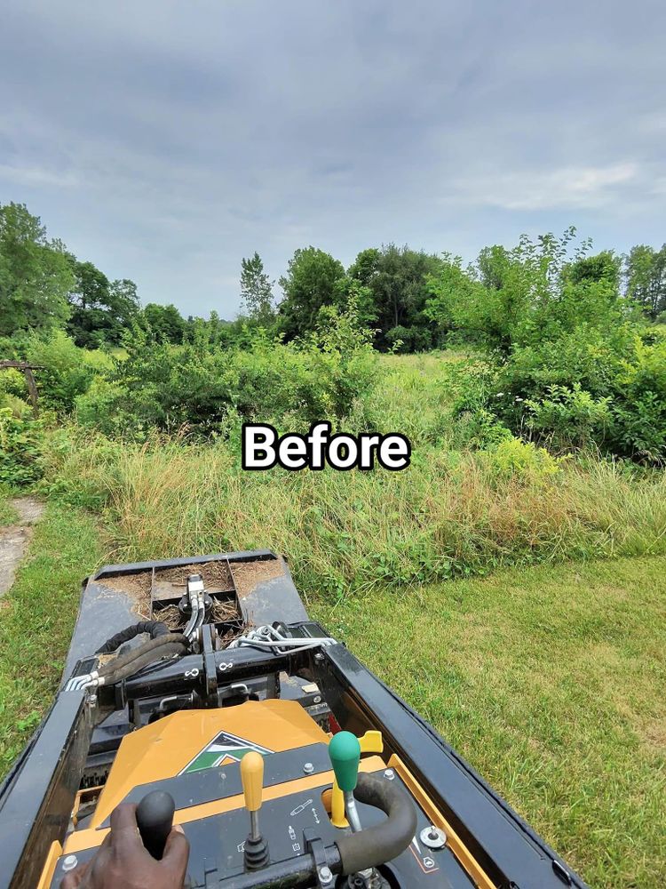 All Photos for F & F Tree Service in Beavercreek, OH