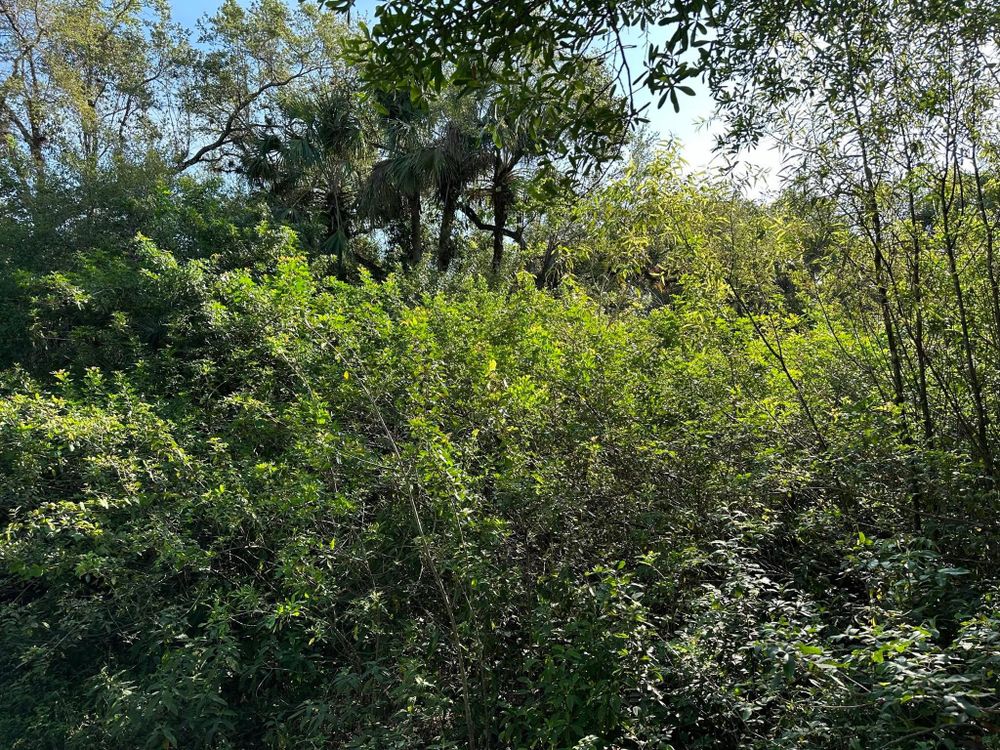 All Photos for McLeran in Naples, FL