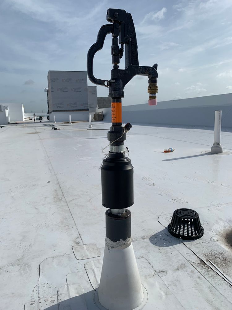 All Photos for Nomadic Plumbing Orlando in Orlando, FL