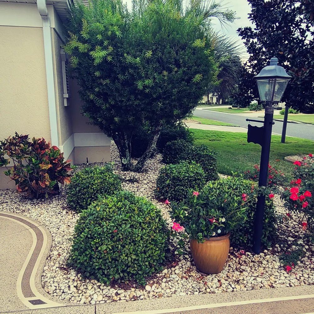 All Photos for TopNotch Landscaping Services  in The Villages, FL