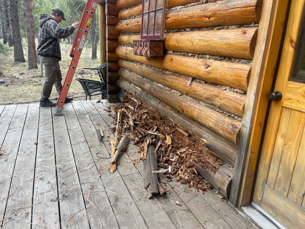 All Photos for True Blue Logworks LLC in Corvallis, MT