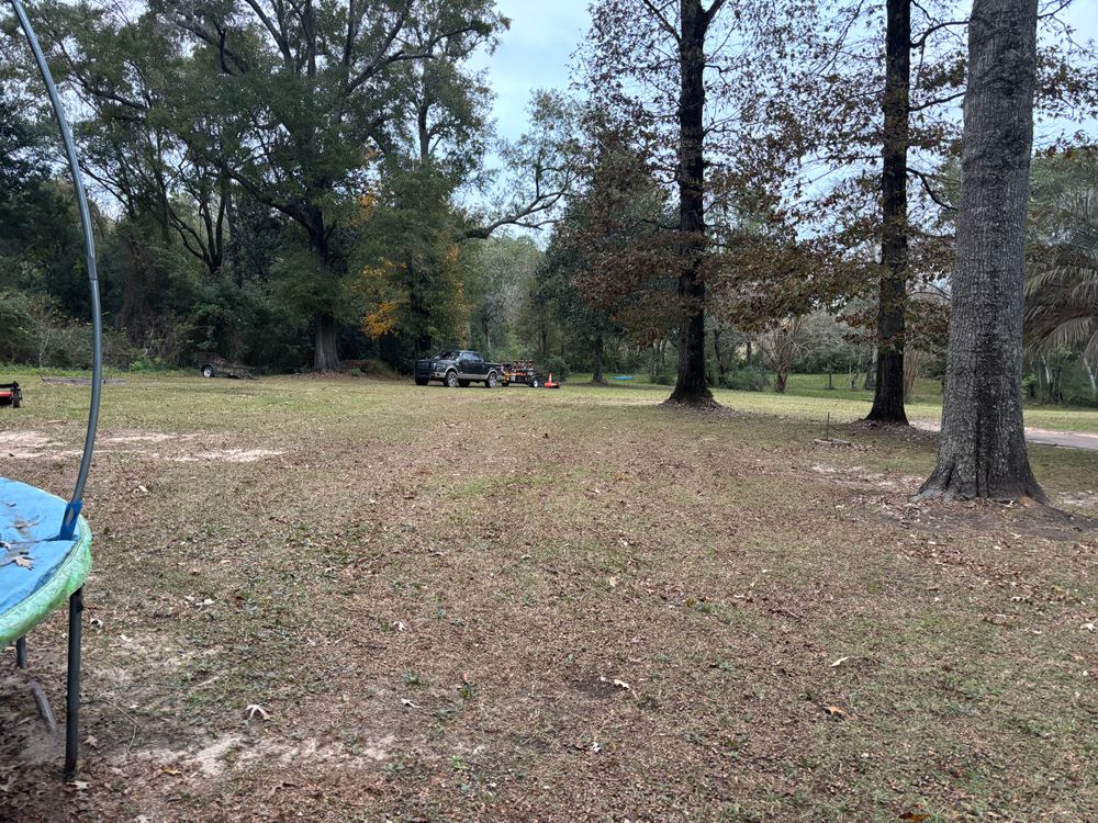 All Photos for Enhanced Landscape in Daphne, AL