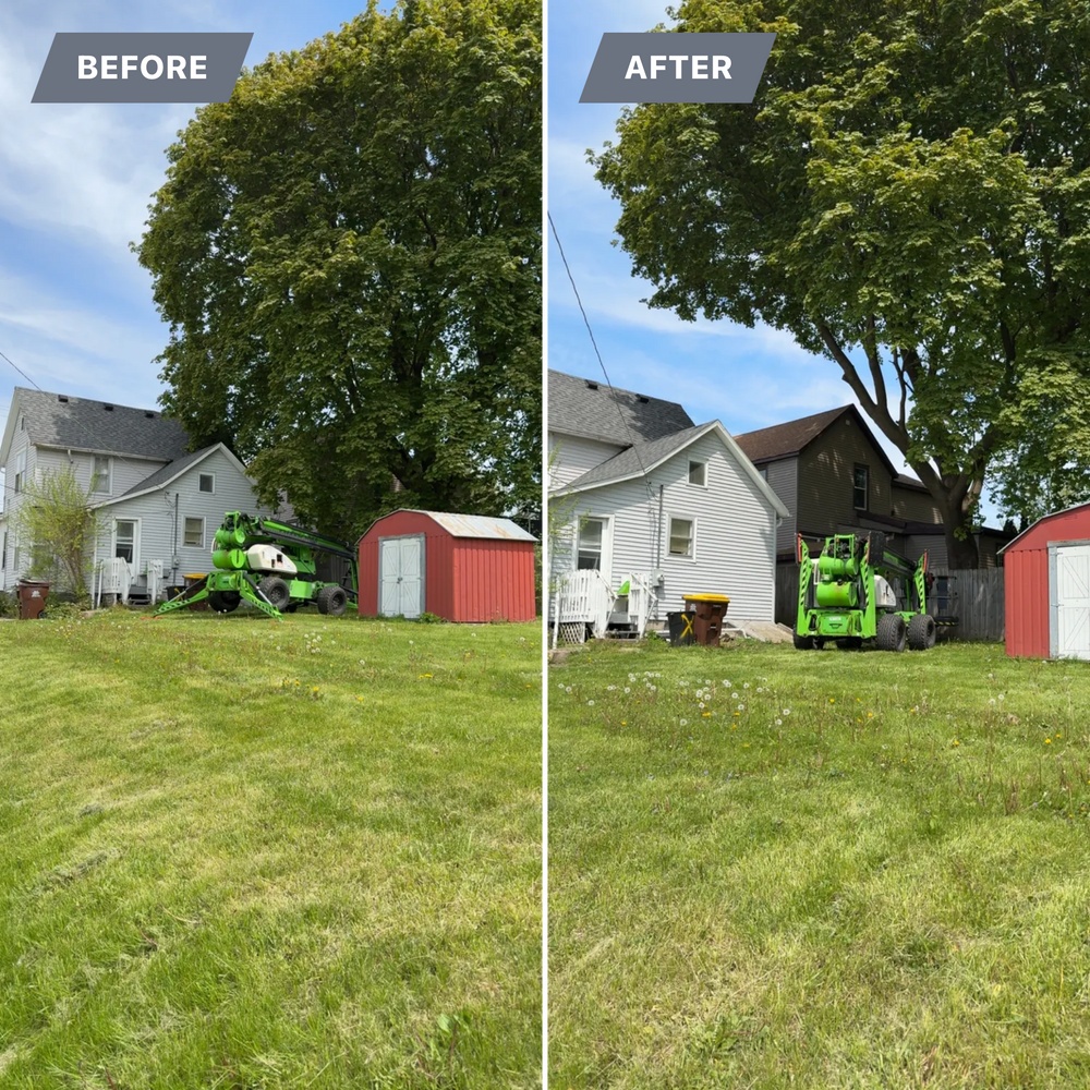 All Photos for Fransen's Tree Service  in Freeport, IL