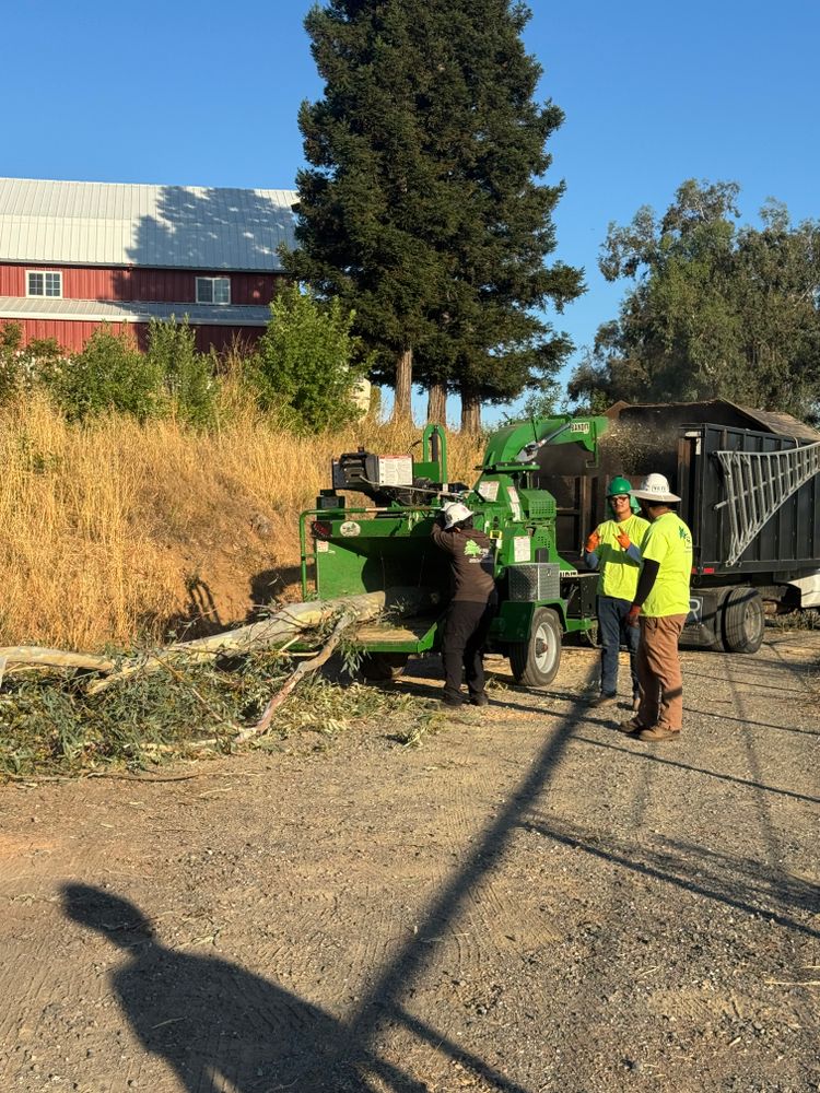 All Photos for Lalo's Tree Service in Willows, CA