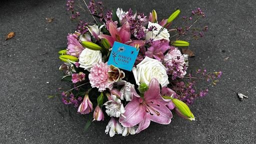 All Photos for The Dailey Daisy in Hardwick, VT