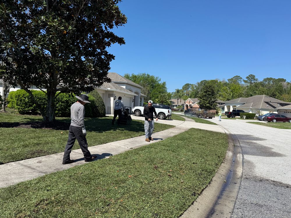 All Photos for Gulf Bay Sod in Clearwater, FL