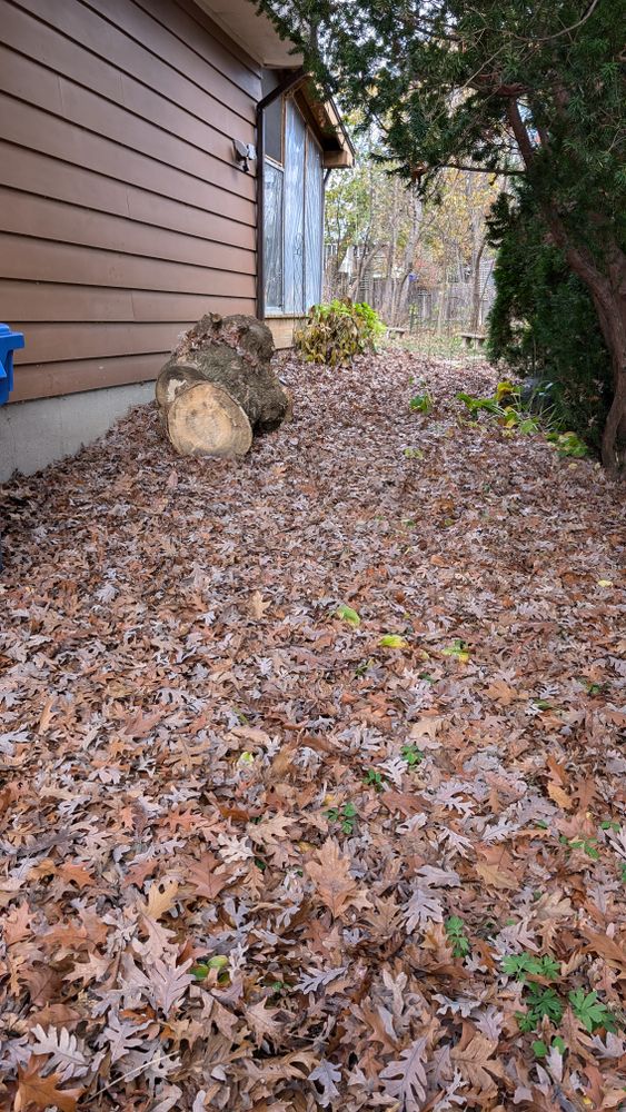 All Photos for TCB Lawn Care & Snow Removal in Sun Prairie, WI