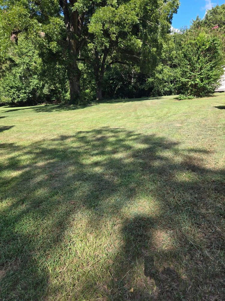 All Photos for Fresh Cut Yard & Lawn Care LLC in Forsyth, GA