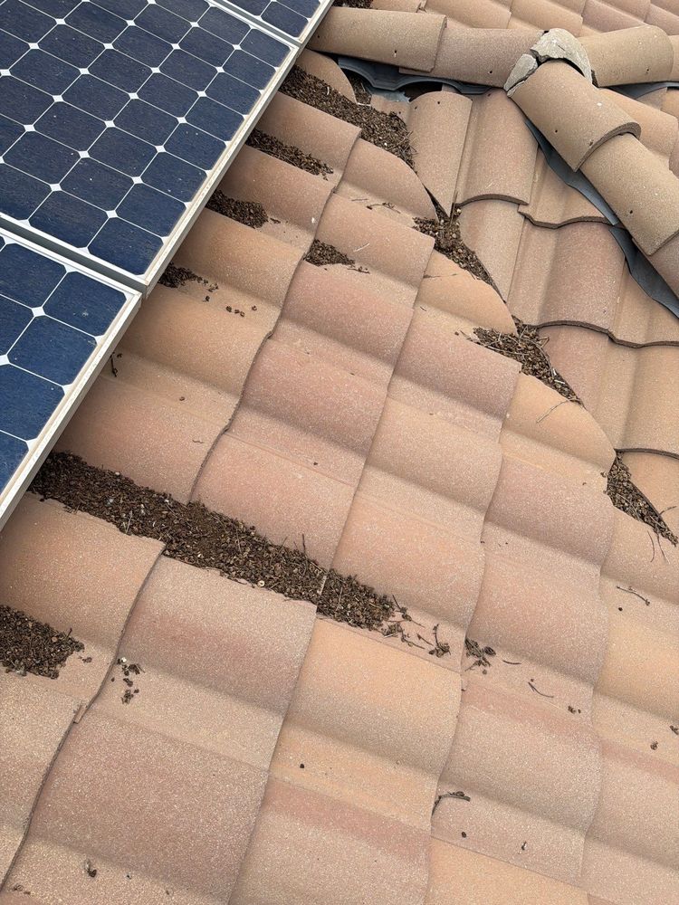 All Photos for Olson & Sons Contracting in Mesa, AZ