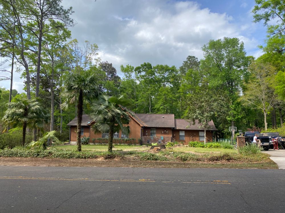 All Photos for Tates Tree Service in Tallahassee, FL